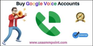 Google Voice Cover